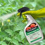 10027 - Tomato Pepper Set 2